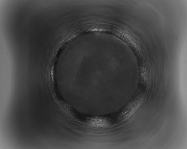 X0000097800547200803201359