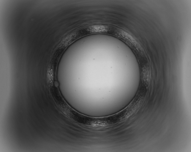 X0000097800549200803201359