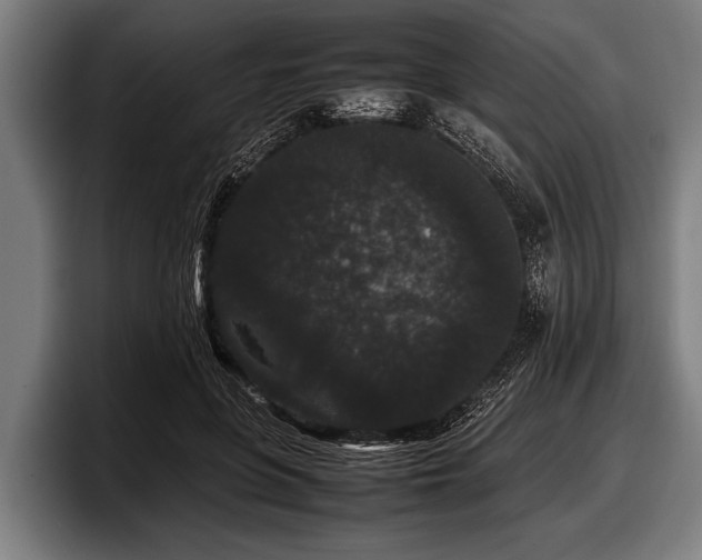 X0000097800551200803201359