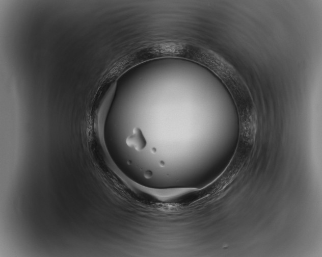 X0000097800552200803201359