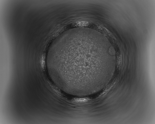 X0000097800553200803201359