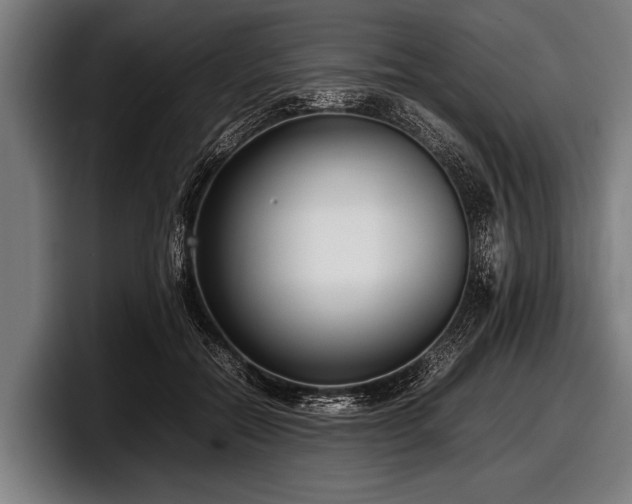 X0000097800554200803201359