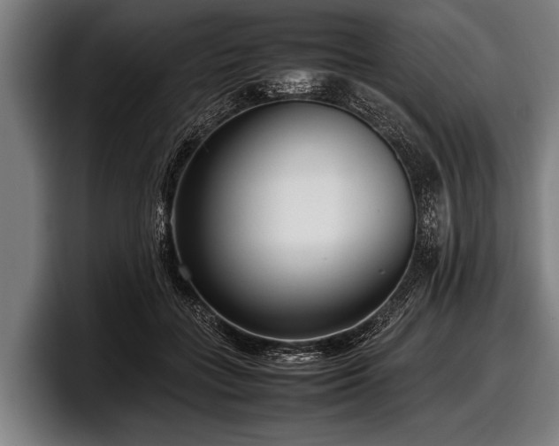 X0000097800555200803201359