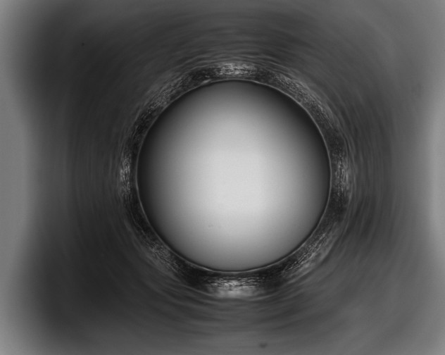 X0000097800557200803201359