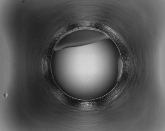 X0000097800558200803201359