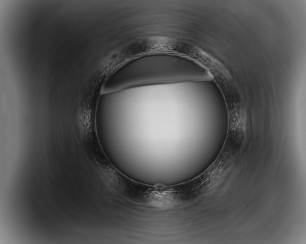 X0000097800560200803201359