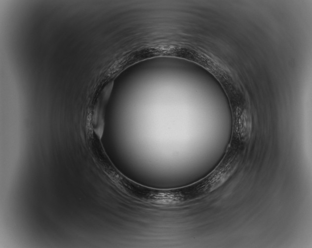 X0000097800562200803201359