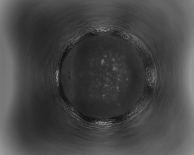 X0000097800563200803201359