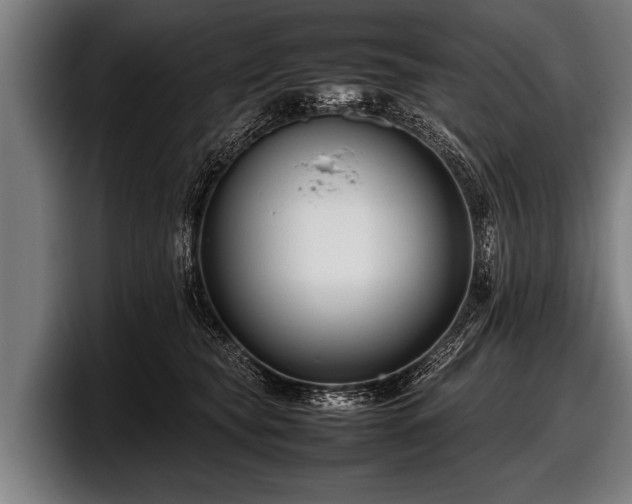 X0000097800565200803201359