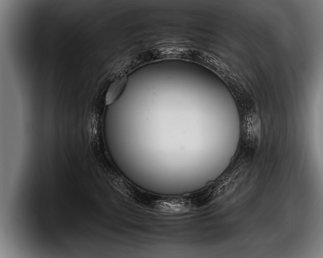 X0000097800567200803201359