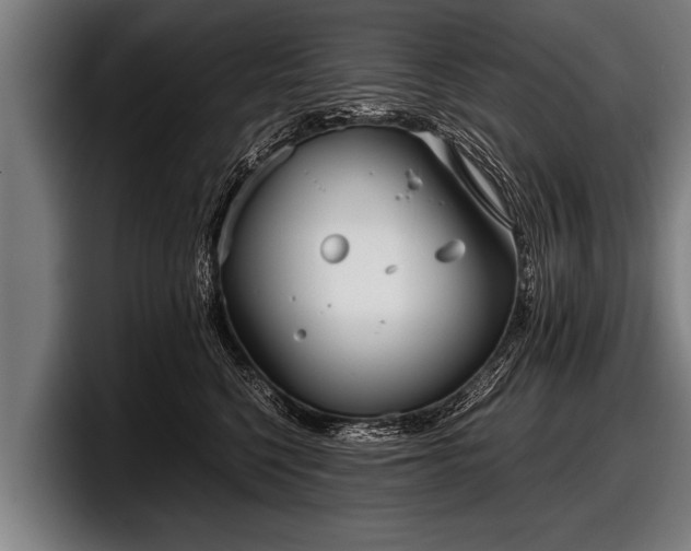 X0000097800568200803201359