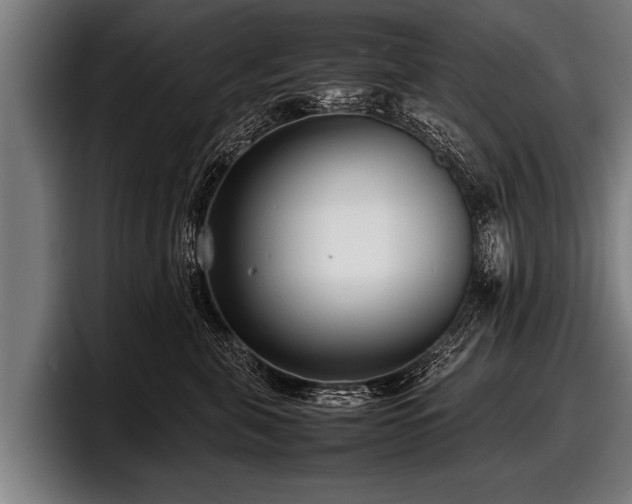 X0000097800571200803201359