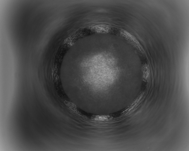 X0000097800573200803201359