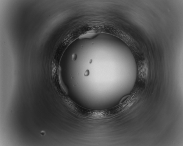 X0000097800574200803201359