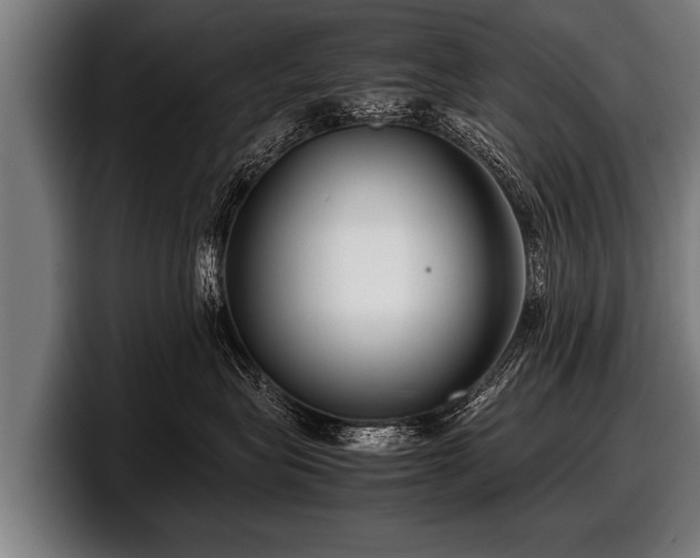 X0000097800575200803201400