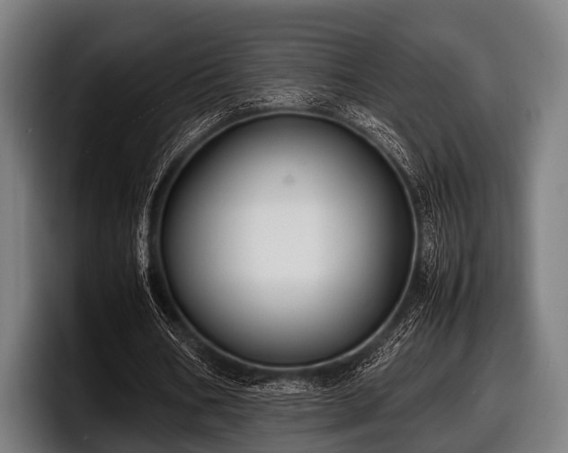 X0000097800578200803201359