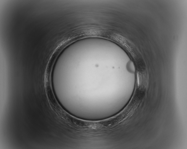 X0000097800579200803201359