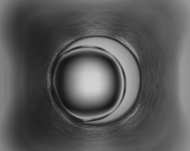 X0000097800581200803201359