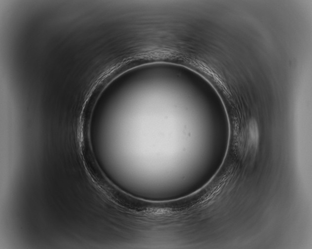 X0000097800582200803201359