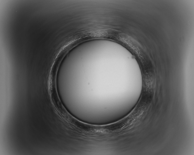 X0000097800583200803201359