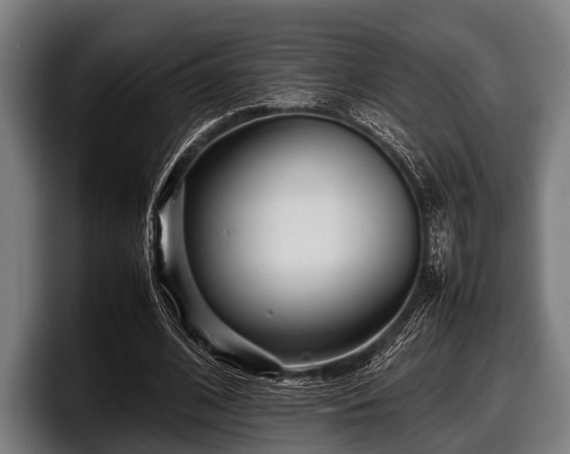 X0000097800584200803201359