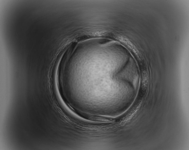 X0000097800585200803201359