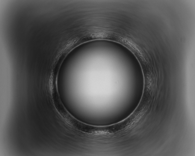 X0000097800586200803201359