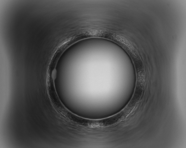 X0000097800587200803201359