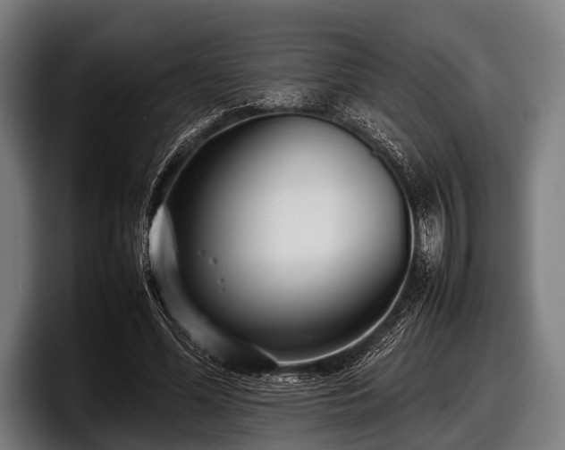 X0000097800588200803201359