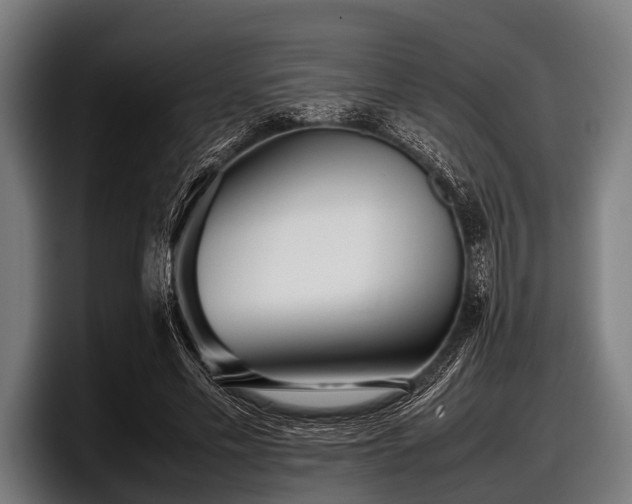 X0000097800589200803201359