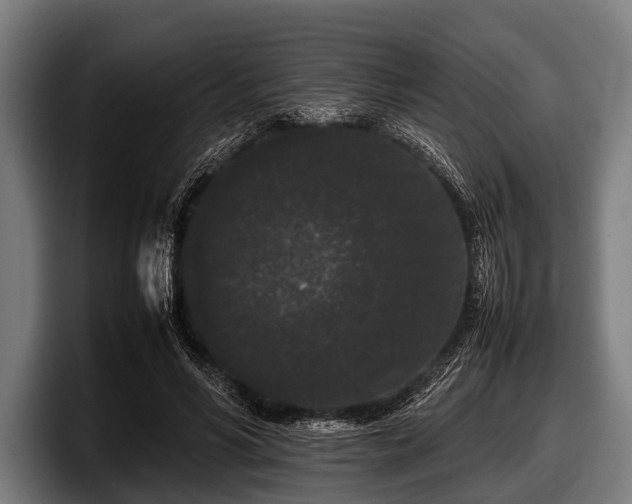 X0000097800590200803201359