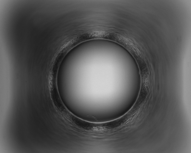 X0000097800591200803201359