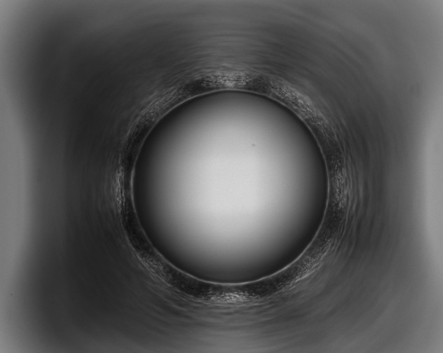 X0000097800594200803201359