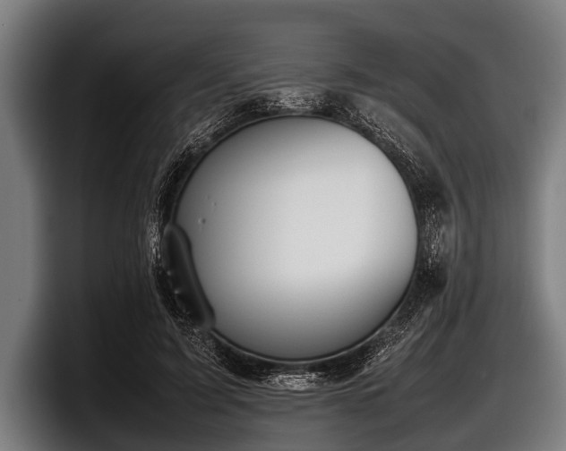 X0000097800595200803201359