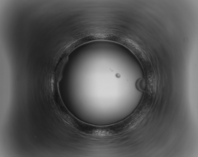 X0000097800596200803201359