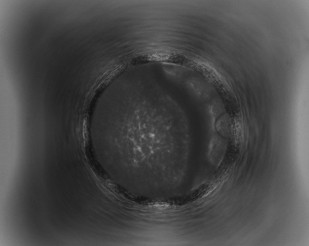 X0000097800598200803201359