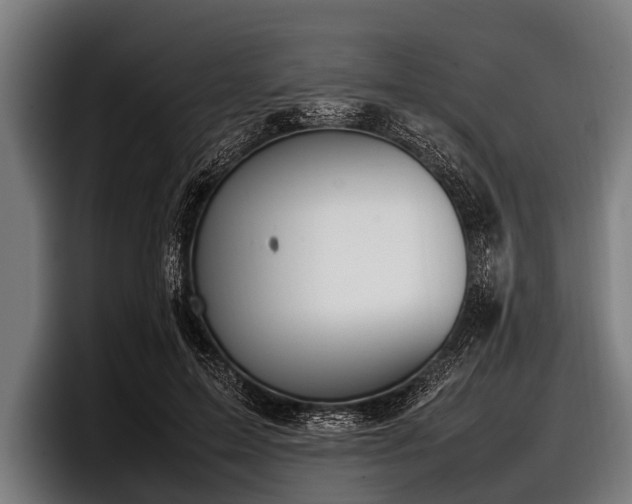 X0000097800599200803201359