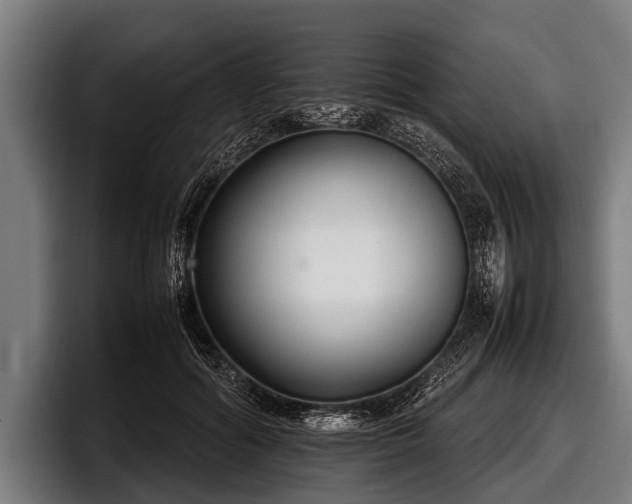 X0000097800602200803201359