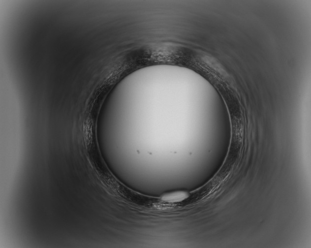 X0000097800603200803201359