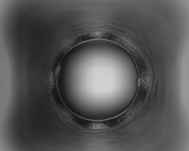 X0000097800605200803201359