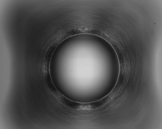 X0000097800606200803201359