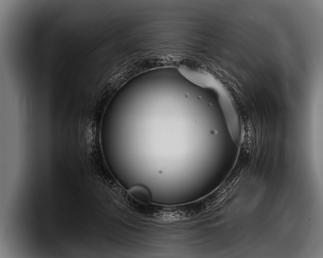 X0000097800608200803201358