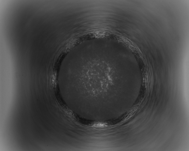 X0000097800610200803201358