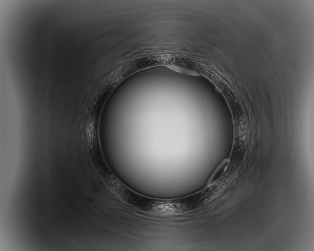 X0000097800611200803201358