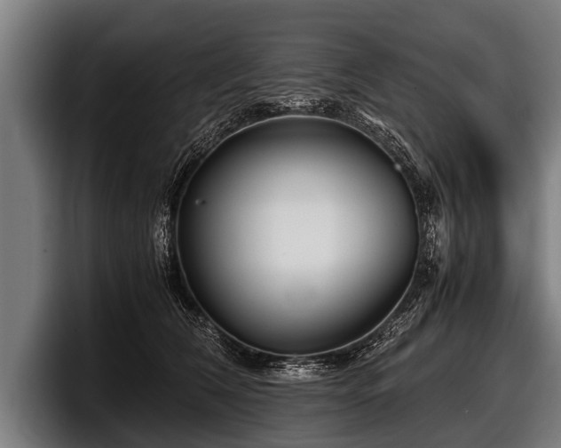 X0000097800612200803201358