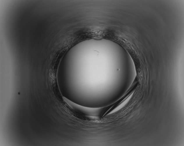 X0000097800613200803201358