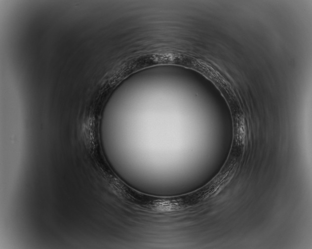 X0000097800616200803201358