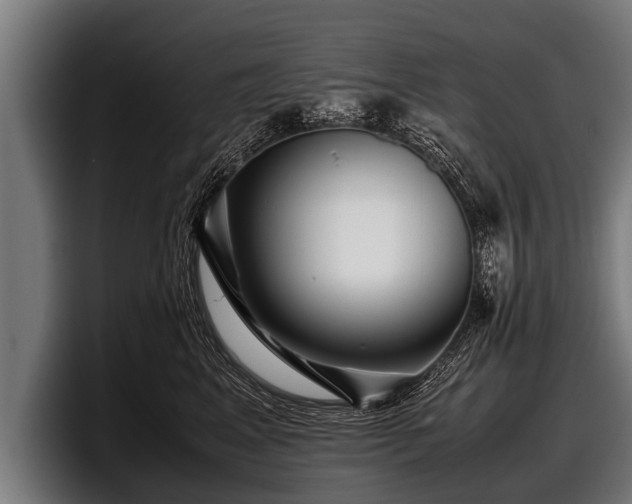 X0000097800617200803201358