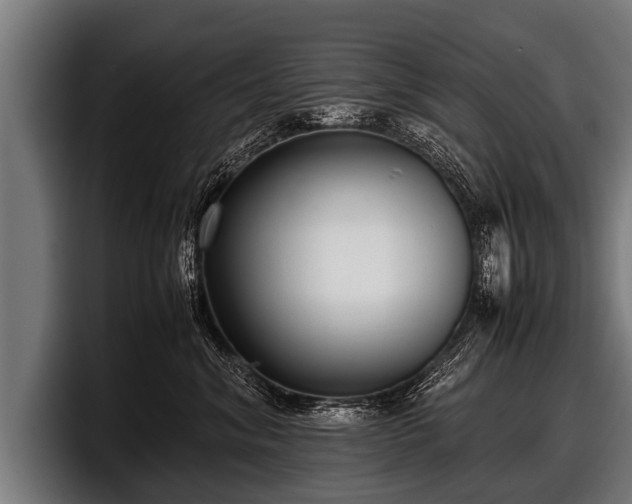 X0000097800620200803201358