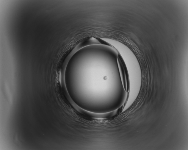 X0000097800621200803201358